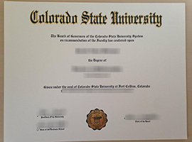 CSU diploma