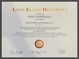 Long Island University diploma