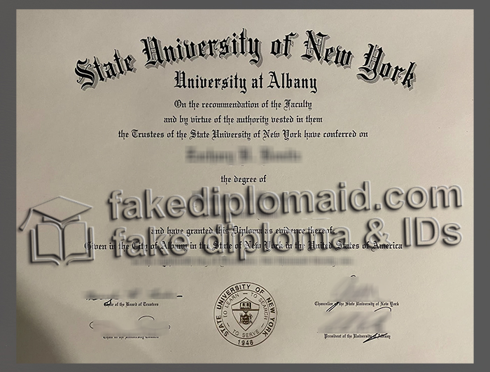 University at Albany diploma