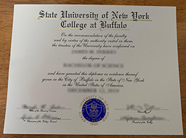 Read more about the article Who can make a SUNY Buffalo State diploma online?