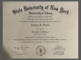 Read more about the article University at Albany diploma sample, buy fake SUNY Albany degree online