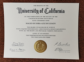 University of California degree