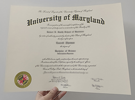 University of Maryland diploma