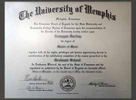 Read more about the article Can I order a University of Memphis diploma to apply for a job?
