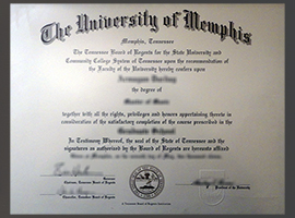 University of Memphis diploma