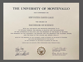 Read more about the article Buy fake University of Montevallo diploma online in the USA