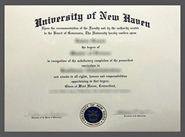 Read more about the article Where can I buy a fake University of New Haven diploma?