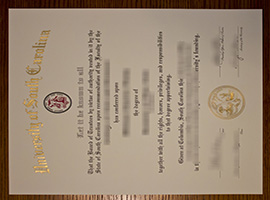 University of South Carolina diploma