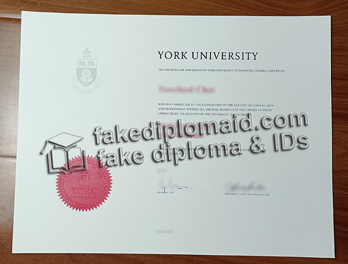 degree report york university