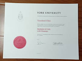 York University degree