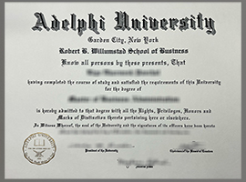 Read more about the article How to get a lost Adelphi University diploma?