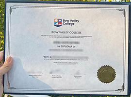 Read more about the article How much to buy a fake Bow Valley College diploma certificate in Canada?