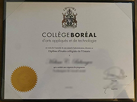 Read more about the article Where can I make a real Collège Boréal degree certificate online?