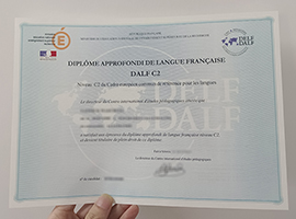 DALF C2 certificate