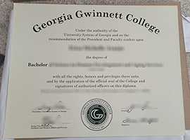 Georgia Gwinnett College diploma