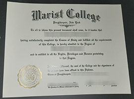 Read more about the article I want to buy a Marist College diploma to apply for a job