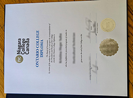 Niagara College diploma