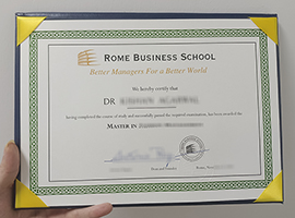 Rome business school degree