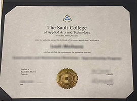 Sault College diploma