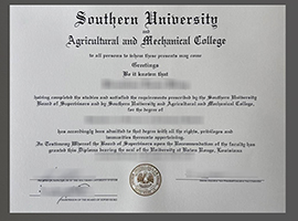 Read more about the article Southern University and Agricultural and Mechanical College diploma sample