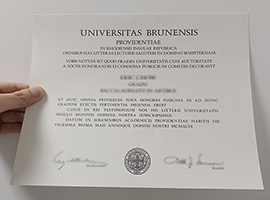 Read more about the article Can I buy an Universitas Brunensis diploma to apply for a job?