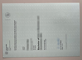 Universität Basel diploma