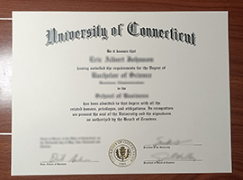 Read more about the article How much to order a University of Connecticut diploma online?