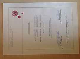 University of Copenhagen diploma