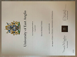 University of East Anglia diploma