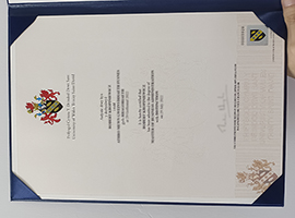 Read more about the article University of Wales Trinity Saint David diploma sample, buy fake UWTSD diploma online