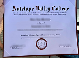 Read more about the article Where can I buy a fake Antelope Valley College diploma?