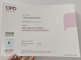 CIPD diploma