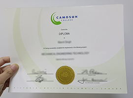 Camosun College diploma, Camosun College certificate