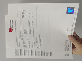 Middlesex University transcript