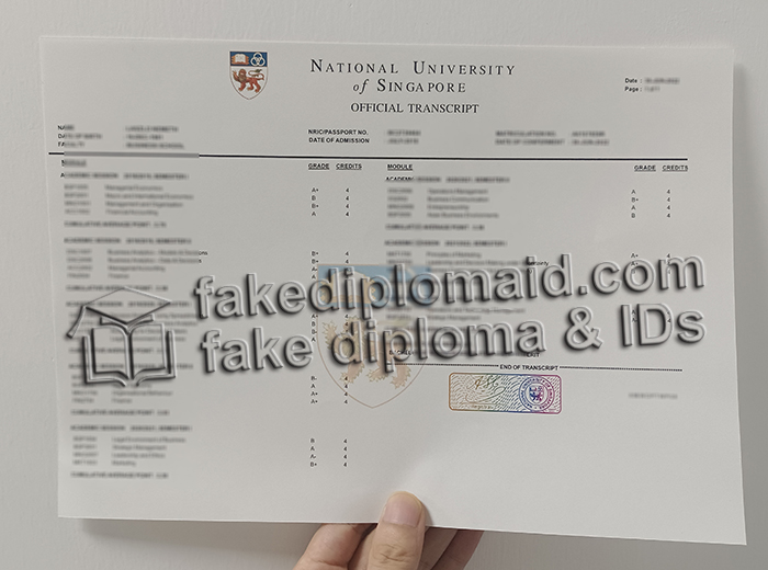 National University of Singapore transcript