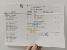 Read more about the article National University of Singapore transcript sample, buy fake NUS transcript
