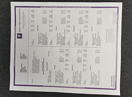 New York University transcript, NYU transcript