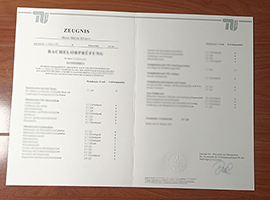 TU Berlin transcript