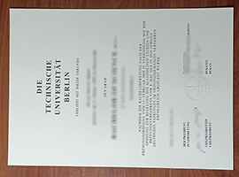 Technischen Universität Berlin diploma, TU Berlin diploma