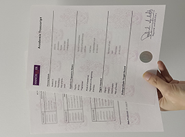 University of Manchester transcript
