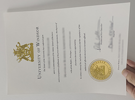 Read more about the article Buy a fake University of Windsor diploma online in Canada