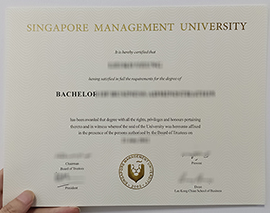 Read more about the article Get a Singapore management university BSC right now