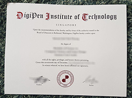 DigiPen Institute of Technology diploma