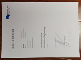 Hochschule Mainz Urkunde, Mainz University of Applied Sciences diploma