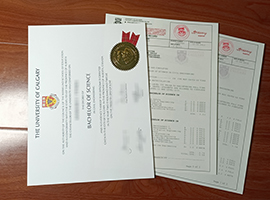 University of Calgary diploma and transcript