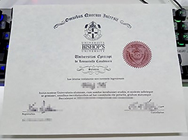 Read more about the article How to replica the Bishop’s University diploma? Or buy a fake Bishop’s diploma