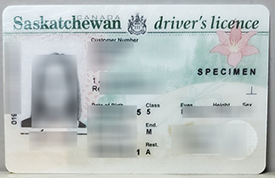 Read more about the article Original Saskatchewan ID card, buy fake Canada Driver’s license