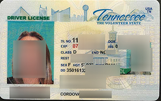 Read more about the article Lost your Tennessee ID card? How about make a fake Tennessee driver’s license?