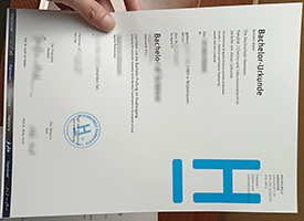 Read more about the article Do people still buy fake HS Hannover diploma online?-YES