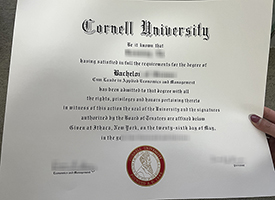 Read more about the article Cornell University phony bachelor’s diploma and academic record